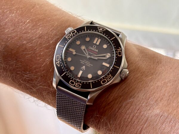 Omega Seamaster Titanio 007