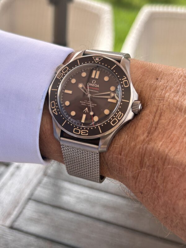 Omega Seamaster Titanio 007