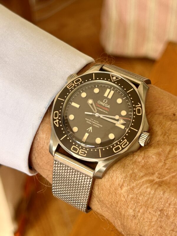 Omega Seamaster Titanio 007